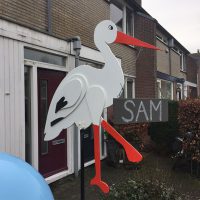 Kraamvogel Sam Scheel