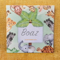 Geboortekaart Boaz_Studio Spuk