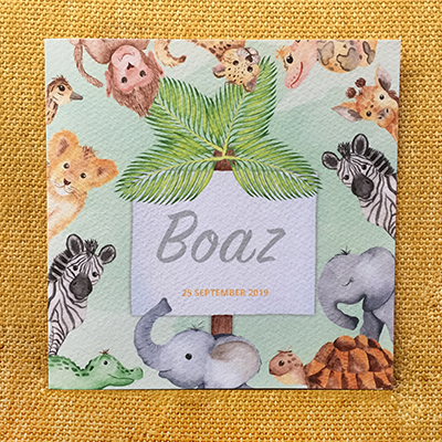 Geboortekaart Boaz_Studio Spuk