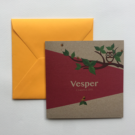 Geboortekaart Vesper