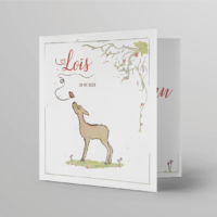 Lois-studiospuk_3